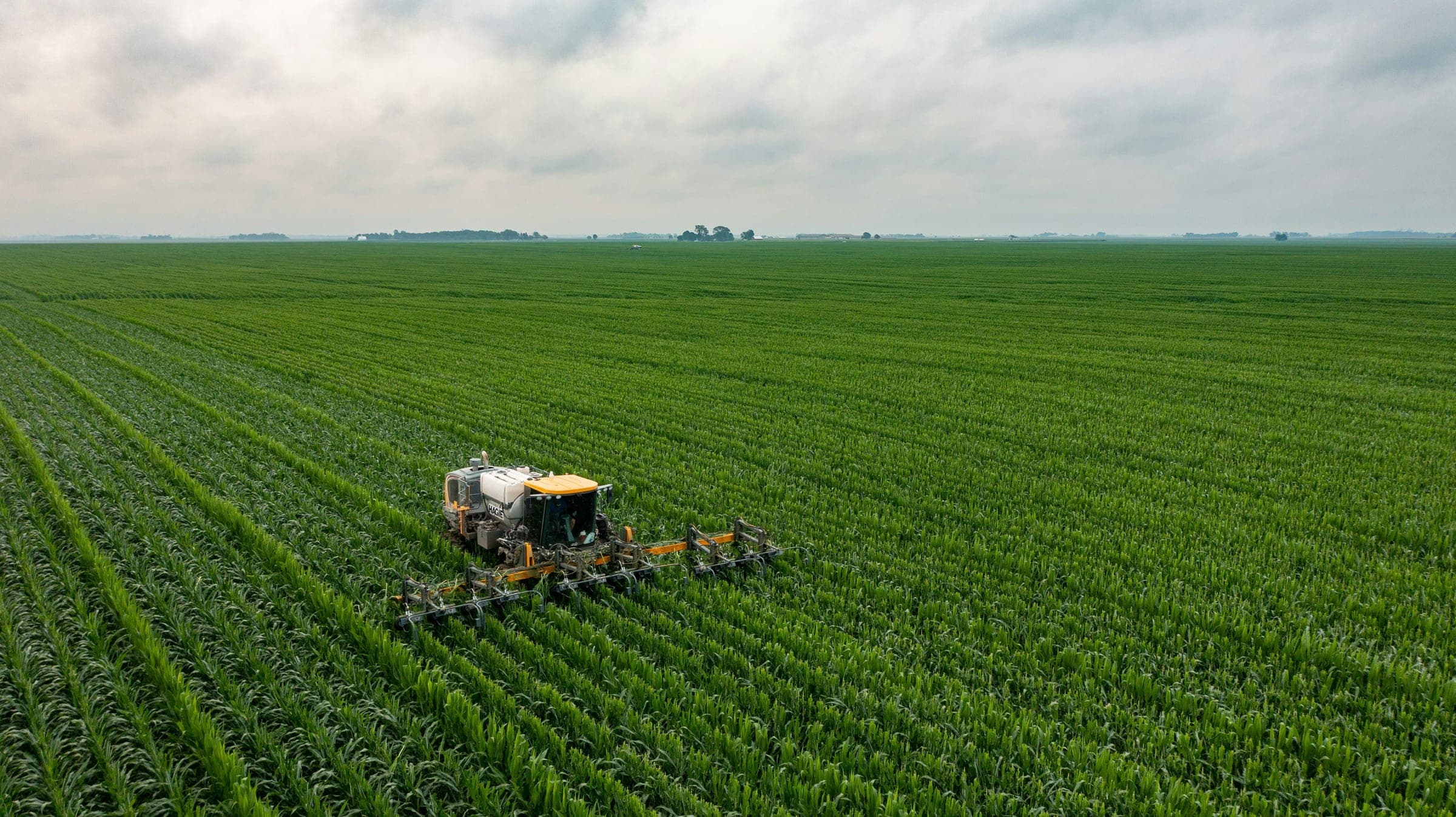 Pulverizadora aérea trabajando sobre cultivo de maíz